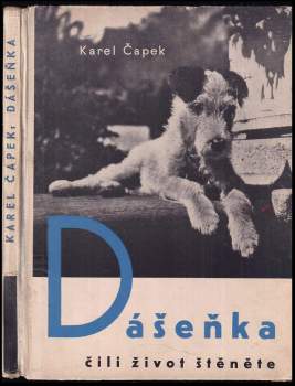 Dášeňka čili život štěněte