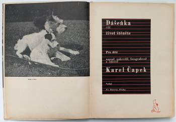 Karel Čapek: Dášeňka, čili, Život štěněte