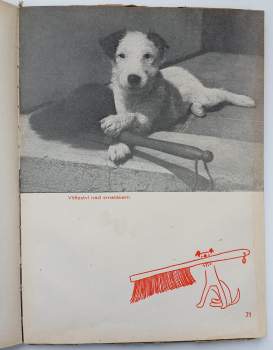 Karel Čapek: Dášeňka, čili, Život štěněte