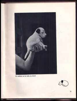 Karel Čapek: Dášeňka, čili, Život štěněte