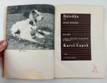 Karel Čapek: Dášeňka čili život štěněte