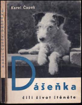 Dášeňka čili život štěněte