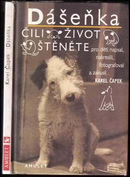 Dášeňka, čili, Život štěněte