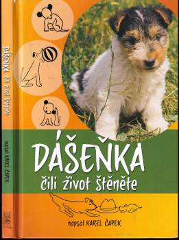 Dášeňka, čili, Život štěněte