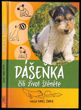 Karel Čapek: Dášeňka, čili, Život štěněte