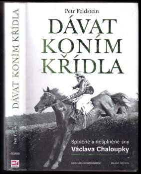 Dávat koním křídla