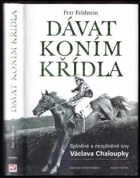 Dávat koním křídla