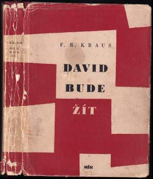 David bude žít : [román]