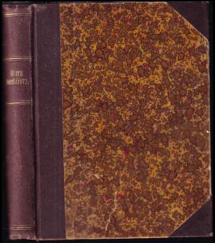 Horace Annesley Vachell: Dcera bankéřova