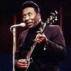 Muddy Waters