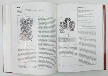 Christian Rätsch: Dech draka