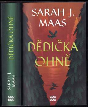 Sarah J Maas: Dědička ohně