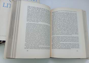 Karel Dvořák: Dějiny české literatury