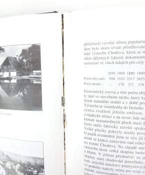 Vladimír Vlasák: Dějiny Chodova