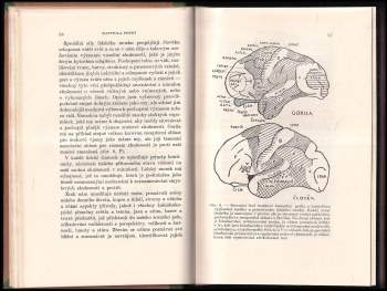 Grafton Elliot Smith: Dějiny člověka