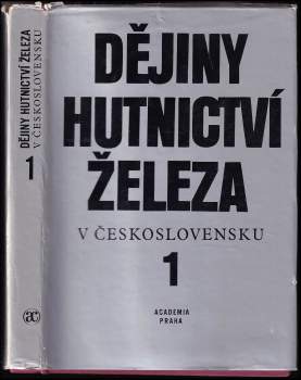 kolektiv: Dějiny hutnictví železa v Československu sv.1