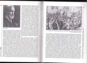 T. W Moody: Dějiny Irska
