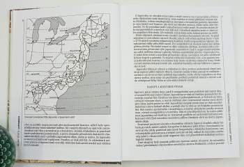 Edwin O Reischauer: Dějiny Japonska