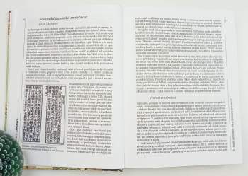 Edwin O Reischauer: Dějiny Japonska