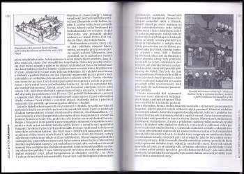 László Kontler: Dějiny Maďarska