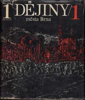 Jiří Jirásek: Dějiny města Brna
