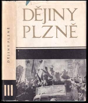 Dějiny Plzně