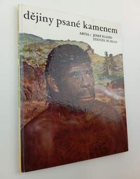 Dějiny psané kamenem