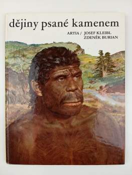 Dějiny psané kamenem