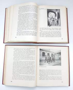 Lev Trockij: Dějiny ruské revoluce Díl 1-3 (Revoluce roku 1905, Únorová revoluce, Říjnová revoluce)