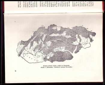 František Bokes: Dějiny Slovákov a Slovenska od najstarších čias po oslobodenie
