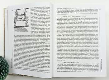 George Brown Tindall: Dějiny Spojených států amerických
