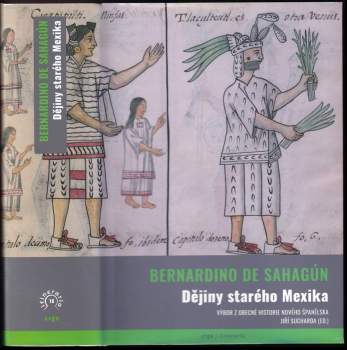 Dějiny starého Mexika