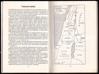 Erich Terner: Dějiny státu Izrael