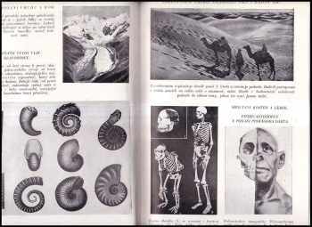 H. G Wells: Dějiny světa