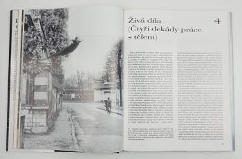 José Pijoán: Dějiny umění