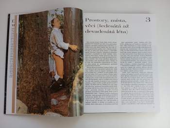 José Pijoán: Dějiny umění