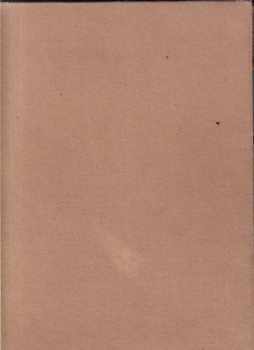 Antonín Matějček: Dějiny umění v obrysech