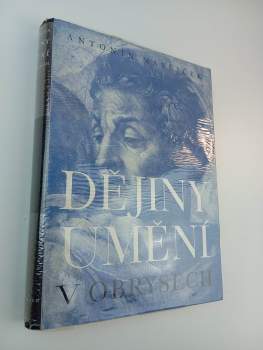 Dějiny umění v obrysech