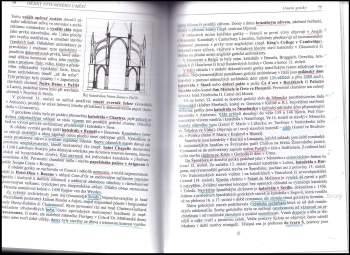 Alois Bauer: Dějiny výtvarného umění