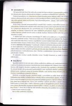 Marie Černá: Dějiny výtvarného umění