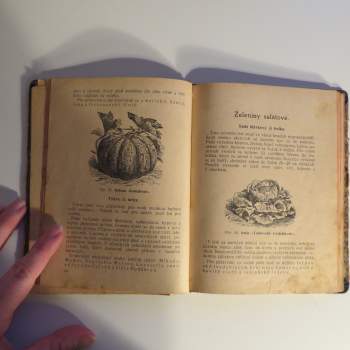 Alois Josef Kulišan: Dělnické zahrádky