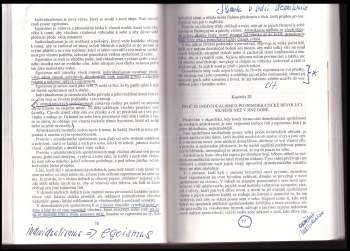 Alexis de Tocqueville: Demokracie v Americe