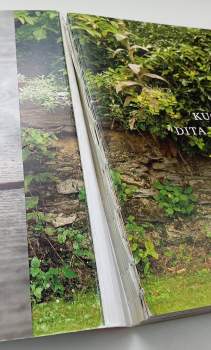 Dita Pecháčková: Deník Dity P