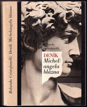 Deník Michelangela blázna