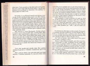 Rolando Cristofanelli: Deník Michelangela blázna