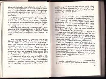 Rolando Cristofanelli: Deník Michelangela blázna