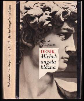 Rolando Cristofanelli: Deník Michelangela blázna