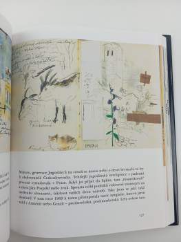 Josef Jíra: Deníky malíře srdcem