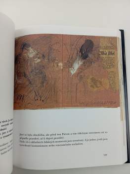 Josef Jíra: Deníky malíře srdcem