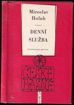 Denní služba